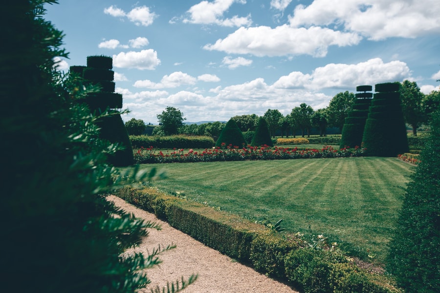 Image d'illustration 9